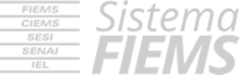 Sistema FIEMS